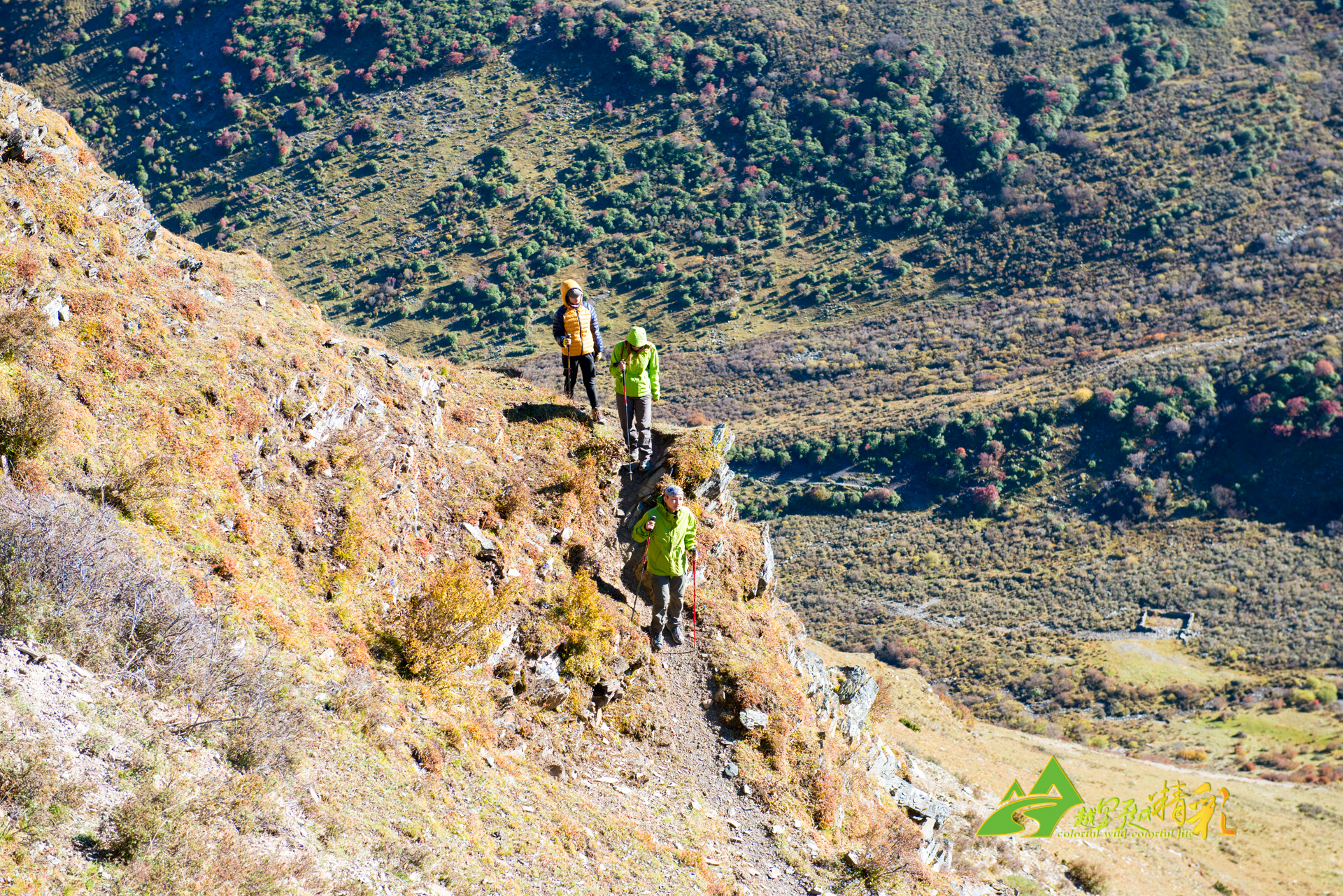 的健康责任 的健康责任